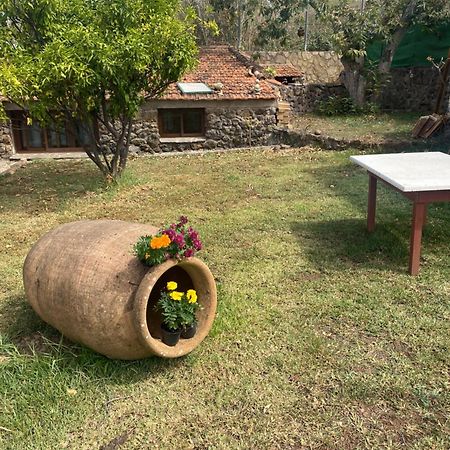 Rural House To Take A Break, La Serreria 25 - Private Garden Tacoronte Exterior photo