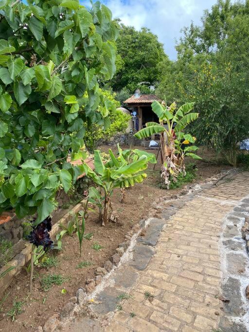 Rural House To Take A Break, La Serreria 25 - Private Garden Tacoronte Exterior photo