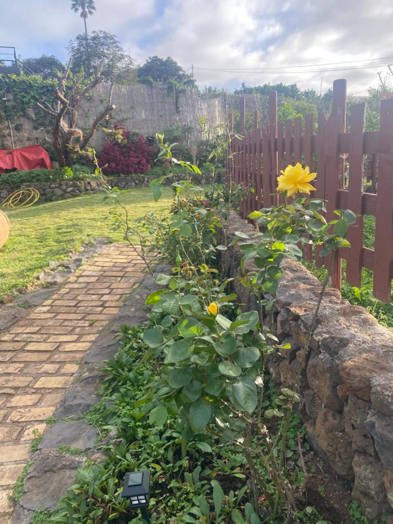 Rural House To Take A Break, La Serreria 25 - Private Garden Tacoronte Exterior photo